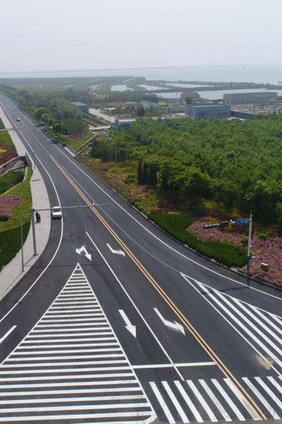 武han新區feng凰湖huan湖路道路排水工程jiegou及zhuang基礎